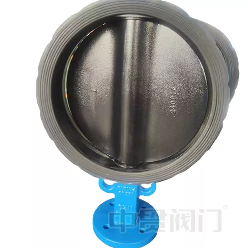 Injap rama -rama standard EN593